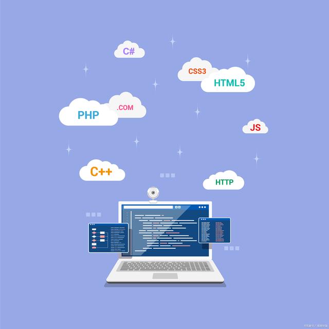 软件系统开发 从概念到实现的全过程解析