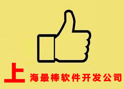 上海卓越软件开发公司 定制化软件外包服务打造高效商业解决方案