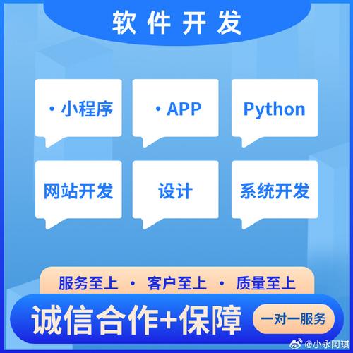 软件开发定制 为什么选择专业团队是成功的关键？